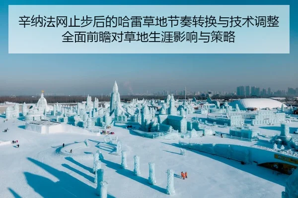辛纳法网止步后的哈雷草地节奏转换与技术调整全面前瞻对草地生涯影响与策略