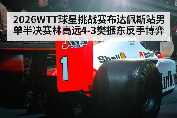 2026WTT球星挑战赛布达佩斯站男单半决赛林高远4-3樊振东反手博弈