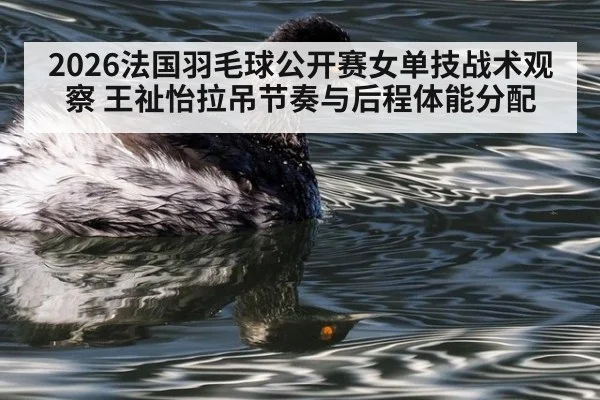 2026法国羽毛球公开赛女单技战术观察 王祉怡拉吊节奏与后程体能分配